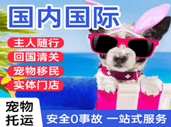 塔什库尔干红其拉甫航空快递国际宠物托运 【国